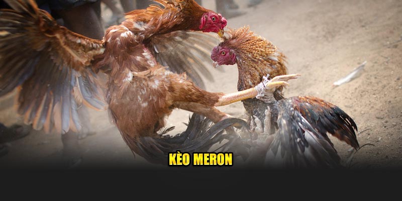 Kèo Meron cực kỳ hấp dẫn