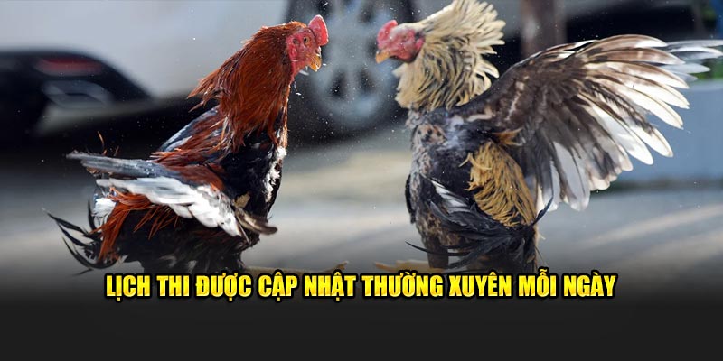 Lịch thi được cập nhập liên tục mỗi ngày