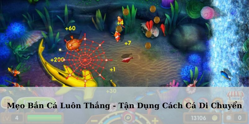 Sử dụng hướng di chuyển của cá để nhắm bắn